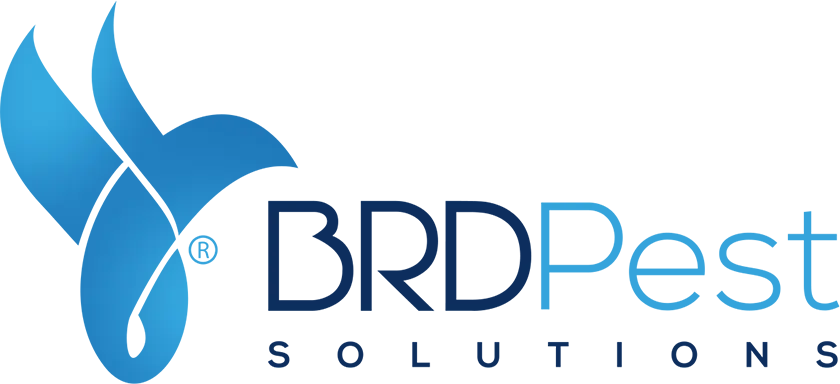 BRD Pest Solutions
